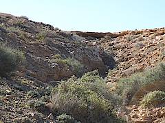 Gabriels Canyon